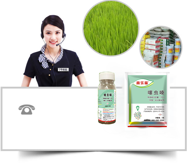 除草劑廠(chǎng)家，除草劑批發(fā)